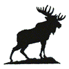 MOOSE