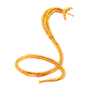 COBRA