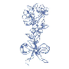 ROMANTIC TOILE