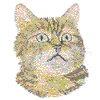 CAT HEAD