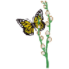 BUTTERFLY 13