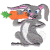 RABBIT EATING CARROT