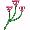 EGYPTIAN FLOWER