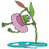 FROG BALLET