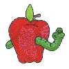 WORM INSIDE THE APPLE