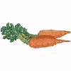 CARROTS