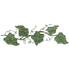 VINE