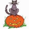 BLACK CAT AND JACK-O-LANTERN