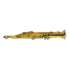 OBOE