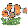 CLOWN FISH