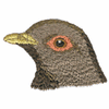 BIRD HEAD