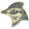 BIRD HEAD