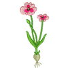 FLORAL BULB