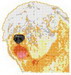 BJTerrierWheaten