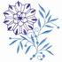 Iris Flower