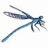Damselfly