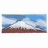 Mt. Fuji