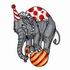 Circus Elephant