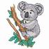 Little Koala