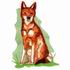 Ethiopian Wolf
