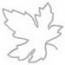 Leaf 2