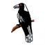 MAGPIE