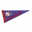 BASEBALL PENNANT