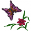 BUTTERFLY WITH FLOWER