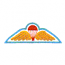 PARATROOPER WINGS