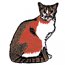 SNOWSHOE