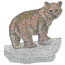 BABY BEAR