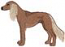 Saluki