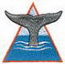 Whale Tail Logo