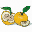 APPLES