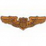 Air Force Pilot's Badge