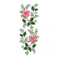 ROSE BORDER