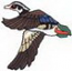Wood Duck