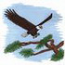 Bald Eagle Landing In Tree