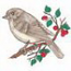 Least Fly Catcher