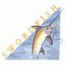 Swordfish