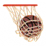 BASKETBALL IN HOOP