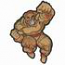Bears