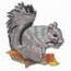 Squirrel