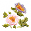 FLORAL DESIGN