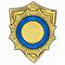 Sunburst Badge