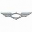 Biker Wings