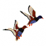 TWO MALLARD DUCKS