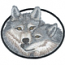 Two Wolves