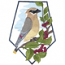 Cedar Waxwing