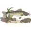 Walleye